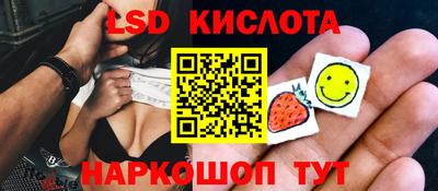 шишки Дубна