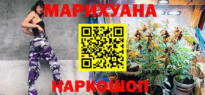 шишки Дубна