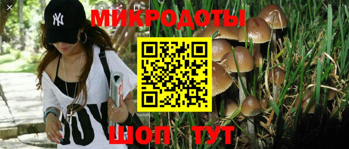 Псилоцибиновые грибы Psilocybe  Вход с VPN  Бугуруслан 